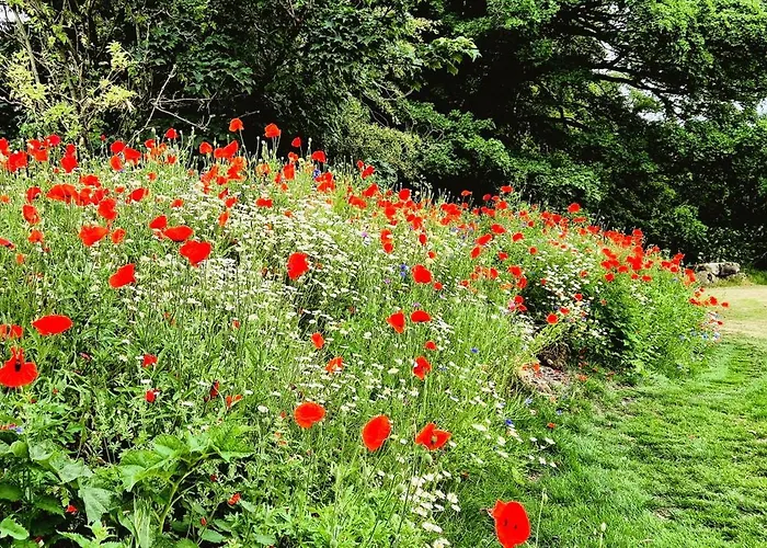 Apartment The Stables, Nr Grantley Hall Winksley