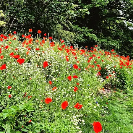 דירה The Stables, Nr Grantley Hall Winksley